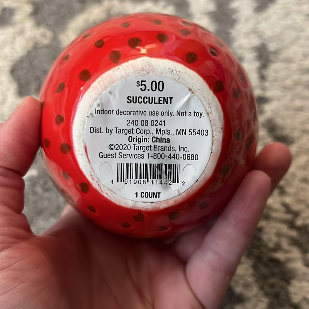 Target faux succulents, pineapple and strawberry, NWT! - Picture 7 of 7